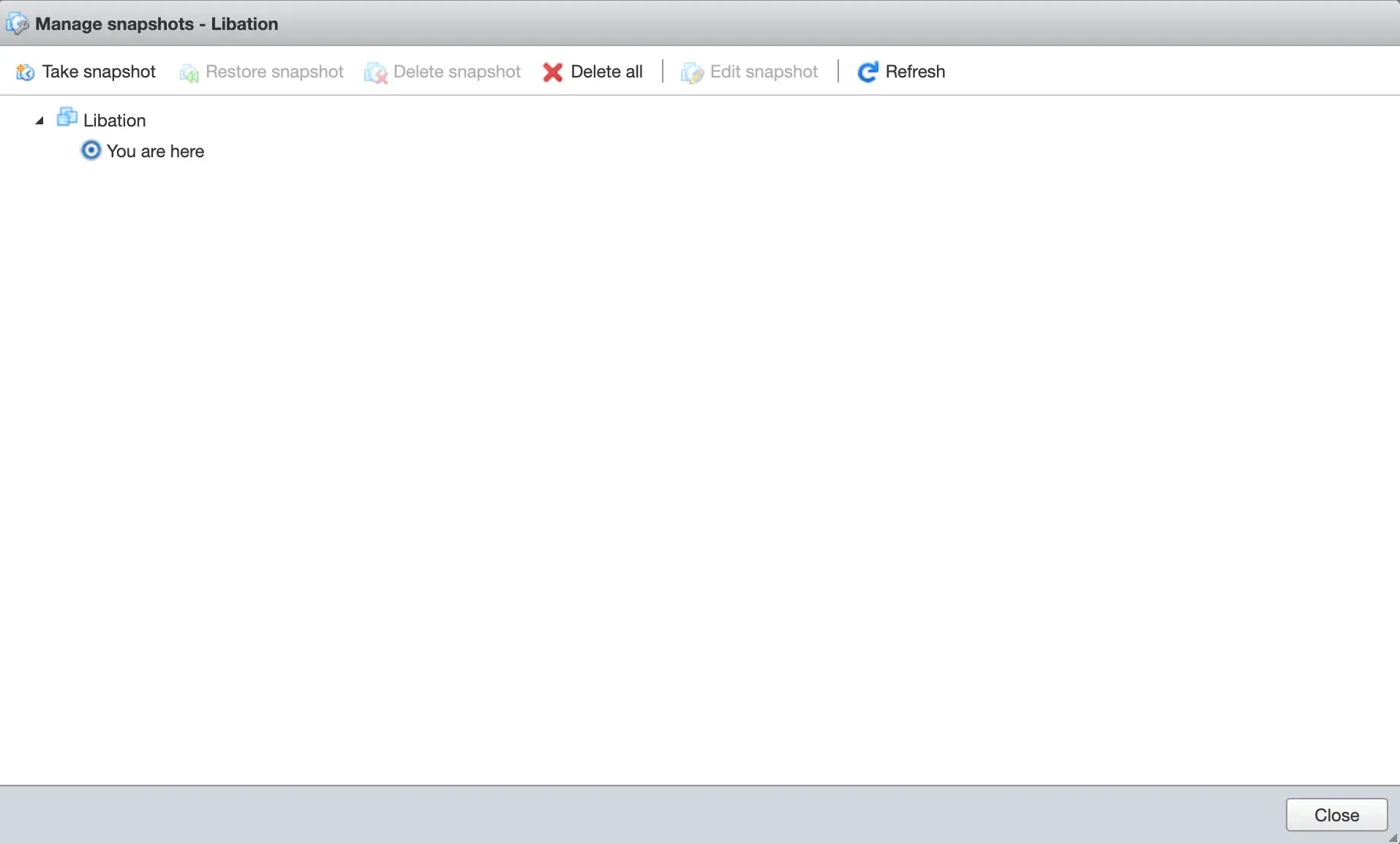 ESXi snapshot manager for the Libation VM, showing only the “You are here” marker and no snapshots.